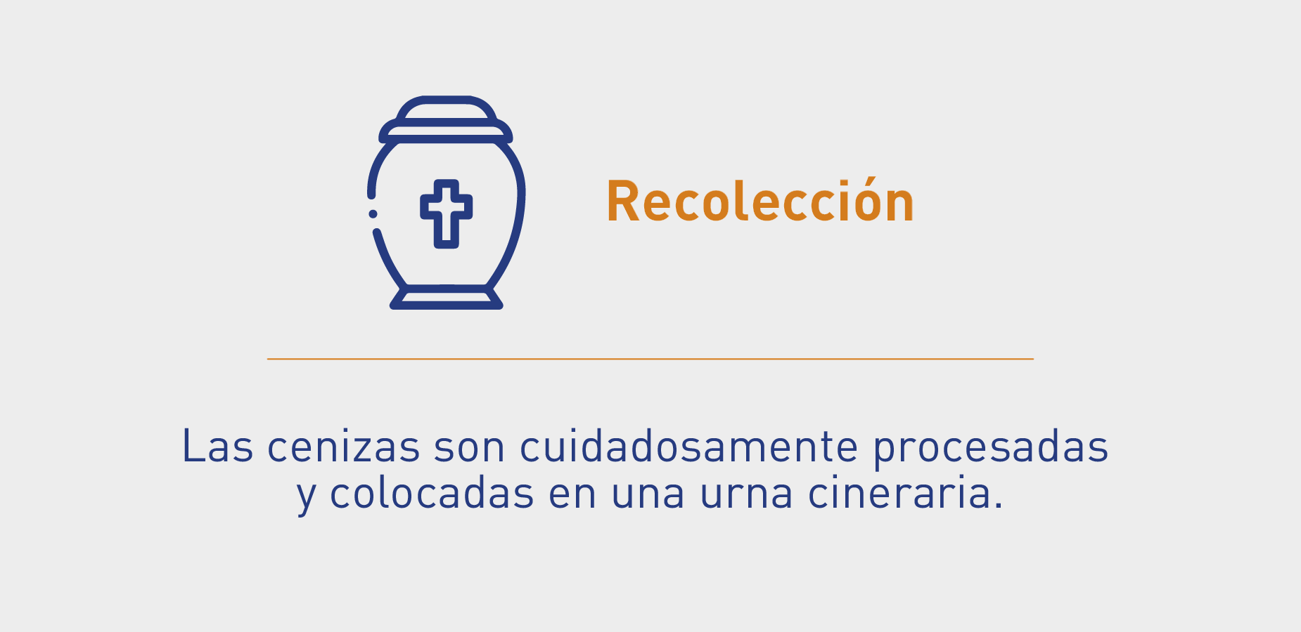 Recolección