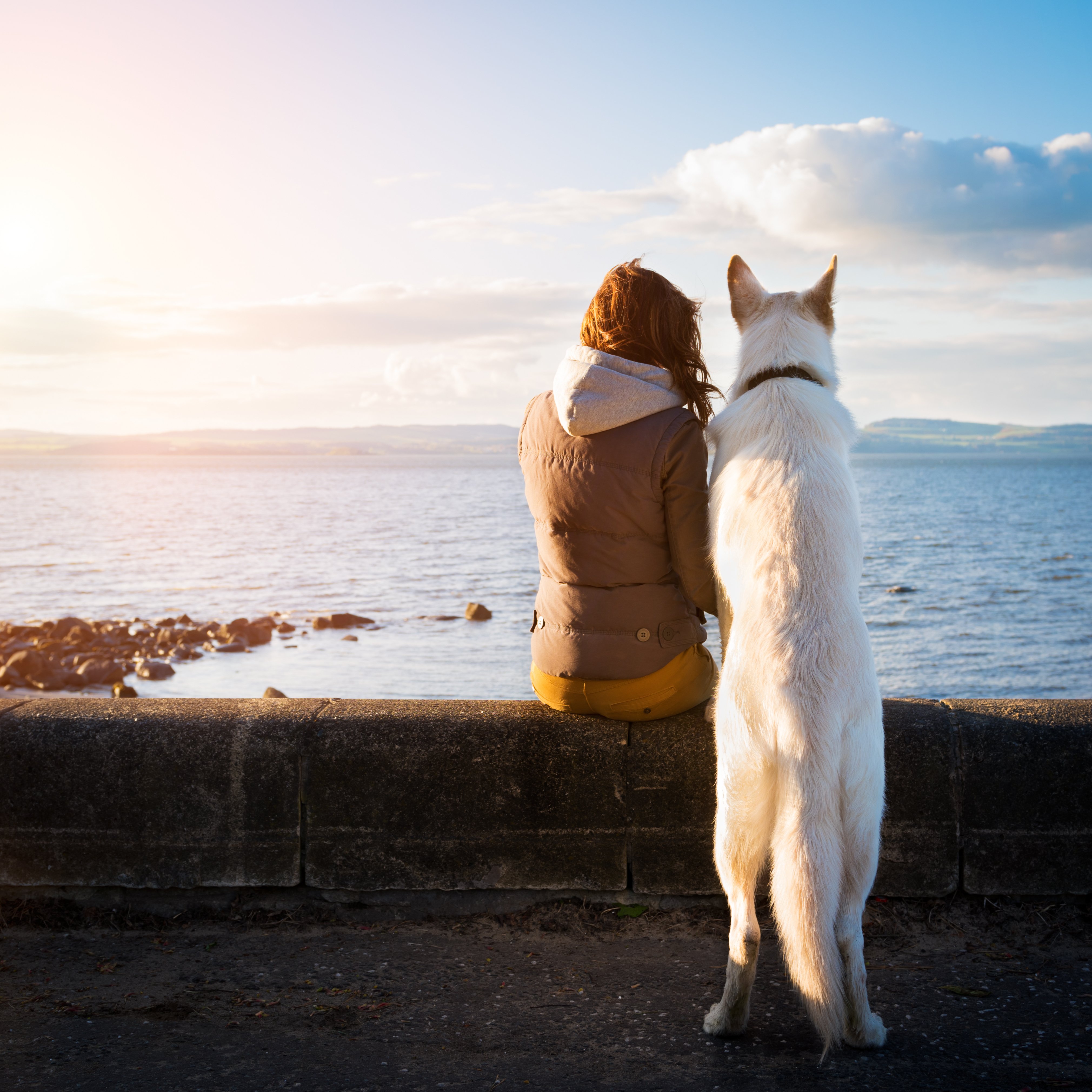 shutterstock_280679345 shutterstock_280679345